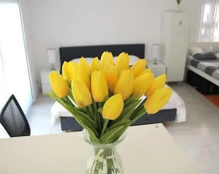 Bed & Breakfast Ibiza Amsterdam